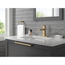Delta IAO20846-CZ Towel Ring