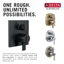 Delta R22000-WS Multichoice Universal With Integrated Diverter Rough 