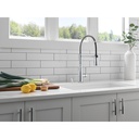 Delta RP1001 Soap Dispenser 