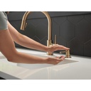 Delta RP100734CZ Trinsic Soap Dispenser Champagne Bronze