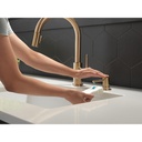 Delta RP100734CZ Trinsic Soap Dispenser Champagne Bronze