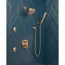 Delta RP40593CZ Shower Arm 