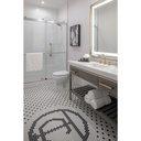 Delta RP6025CZPR Flange Shower Lumicoat