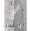 Delta RP62955PR Single Setting Overhead Showe R Head