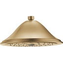 Delta RP72568CZ Cassidy Touchclean Raincan Showerhead 