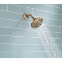 Delta RP78575CZ 5-Setting Touch-Clean Showerhead 