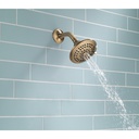 Delta RP78575CZ 5-Setting Touch-Clean Showerhead 