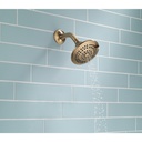 Delta RP78575CZ 5-Setting Touch-Clean Showerhead 