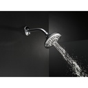Delta RP78575SS 5-Setting Touch-Clean Showerh Ad 