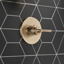 Delta T14035-CZ Saylor 14 Series Valve Only Trim