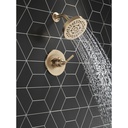 Delta T14235-CZ Saylor 14 Series Shower Only Trim