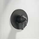 Delta T17035-BL Saylor 17 Series Valve Only Trim