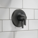 Delta T17072-BL 17 Series Valve Only Trim