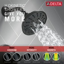 Delta T17256-BL Dorval H2O 5-Setting Shower Trim 1L 17S 