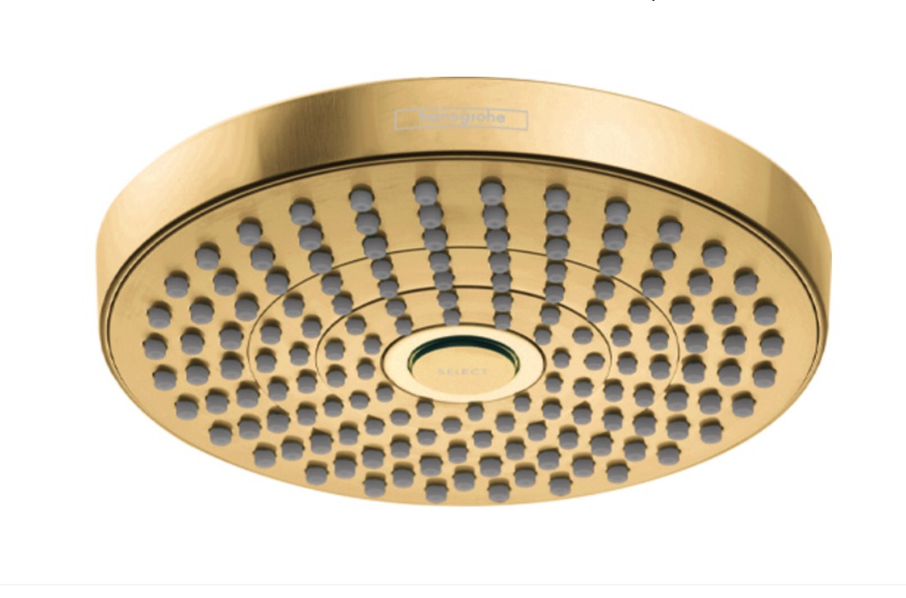 Hansgrohe 04388250 Showerhead 180 2-Jet 1.8 Gpm