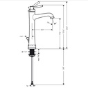 Hansgrohe 04772830 Single-Hole Faucet 230 With Pop-Up Drain 1.2 Gpm
