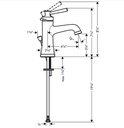 Hansgrohe 04773670 Single-Hole Faucet 100 With Pop-Up Drain 0.5 Gpm