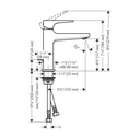 Hansgrohe 32527001 Single-Hole Faucet 110 With Lever Handle And Pop-Up Drain 0