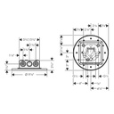 Hansgrohe 35298341 Showerhead 250 2-Jet 2.5 Gpm