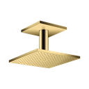 Hansgrohe 35312991 Showerhead 250 Square 2-Jet Ceiling Connection 2.5 Gpm