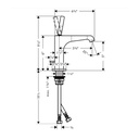 Hansgrohe 36100671 Single-Hole Faucet 125 With Pop-Up Drain 1.2 Gpm