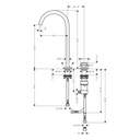 Hansgrohe 48060821 2-Hole Single-Handle Faucet 260 1.2 Gpm
