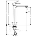 Hansgrohe 72524001 Rebris S Single-Hole Faucet 240 1.2 Gpm