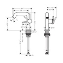 Hansgrohe 73321001 Single-Hole Fine 110 1.2 Gpm