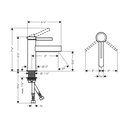 Hansgrohe 76010671 Single-Hole Faucet 100 With Pop-Up Drain 1.2 Gpm