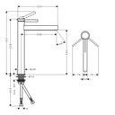 Hansgrohe 76070821 Single-Hole Faucet 260 1.2 Gpm