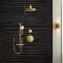 Grohe 26046GN2 100 Hand Shower 2 Sprays 6.6 L/Min (1.75 Gpm) Brushed Cool Sunrise