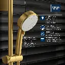 Grohe 26046GN2 100 Hand Shower 2 Sprays 6.6 L/Min (1.75 Gpm) Brushed Cool Sunrise