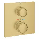 Grohe 29177Gn1 Single Function 2-Handle Thermostatic Valve Trim Brushed Cool Sunrise