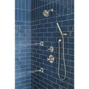 Delta SH5002-SS-PR Invigorating Body Spray Sprayhead Lumicoat Stainless