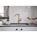 Brizo 61065LF-PNLHP Odin Square Bar Faucet