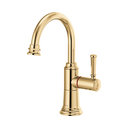 Brizo 61374LF-H-PG Rook Instant Hot Beverage Faucet