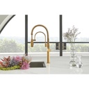 Brizo 63375LF-PGLHP Odin Spring Spout Pull-Down