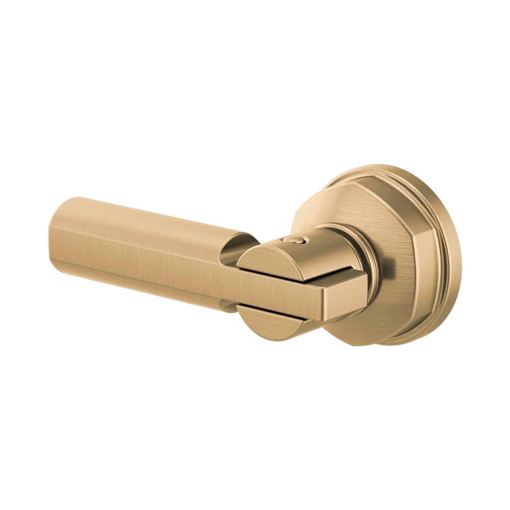 Brizo 696376-GL Invari Universal Tank Lever