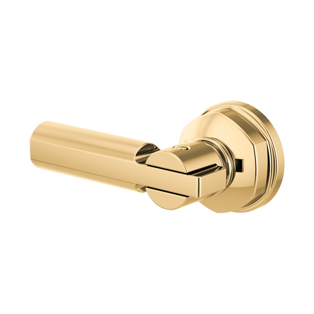 Brizo 696376-PG Invari Universal Tank Lever