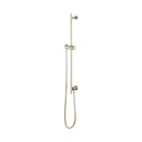 Brizo 74792-PN Universal Showering Euro Rd Slidebar W/Hose