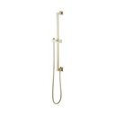 Brizo 74799-PN Universal Showering Euro Sq Slidebar W/Hose