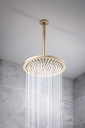 Brizo 81392-GL-2.5 Charlotte Round Raincan Showerhead Luxe Gold