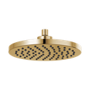 Brizo 81398-PG-2.5 Traditional Raincan Showerhead