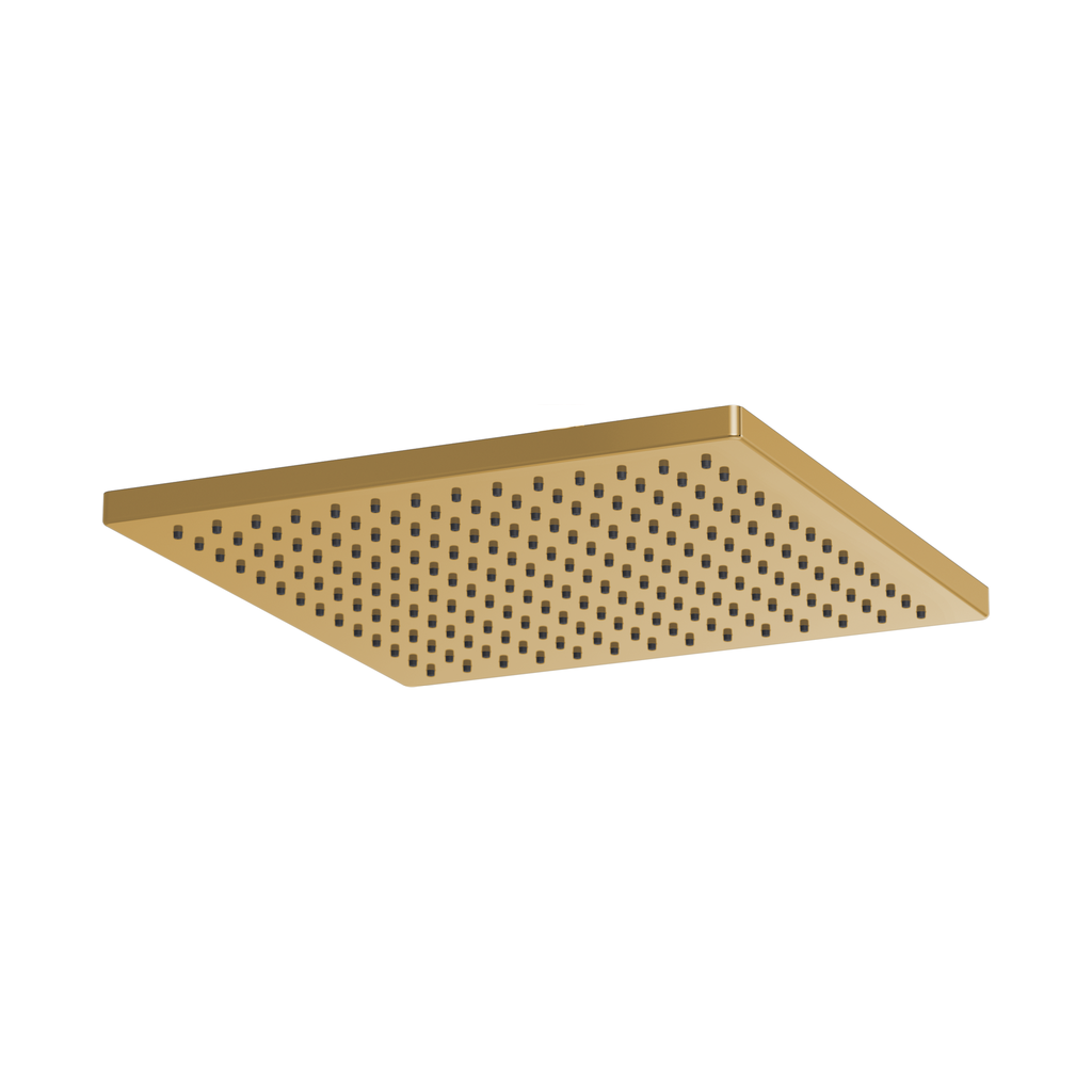 Brizo 81399-PG-2.5 Square Raincan Showerhead