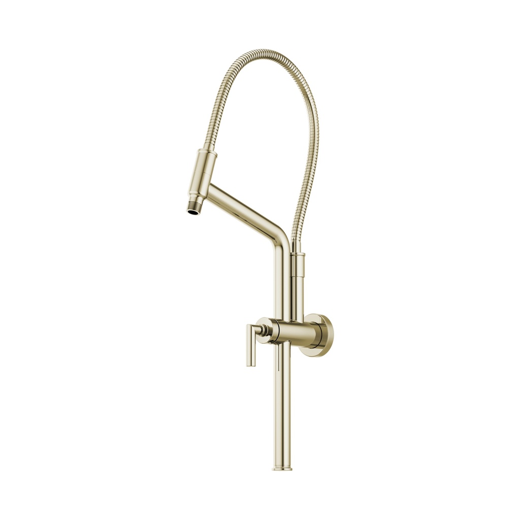 Brizo 81892-PN Universal Showering Slidebar Shower Arm & Flange