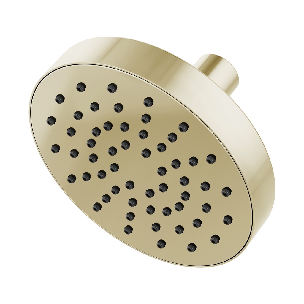 Brizo 82392-PN-2.5 Universal Showering Euro Rd Single Function Showerhead