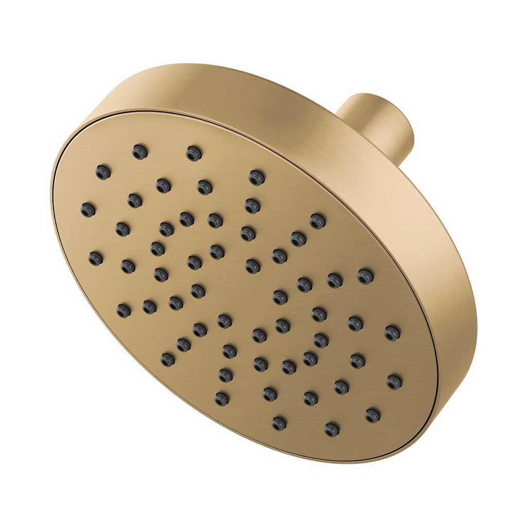 Brizo 82392-GL Universal Showering Euro Rd Single Function Showerhead
