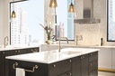 Brizo 63064LF Litze Pull Down Angled Spout Kitchen Faucet Stainless