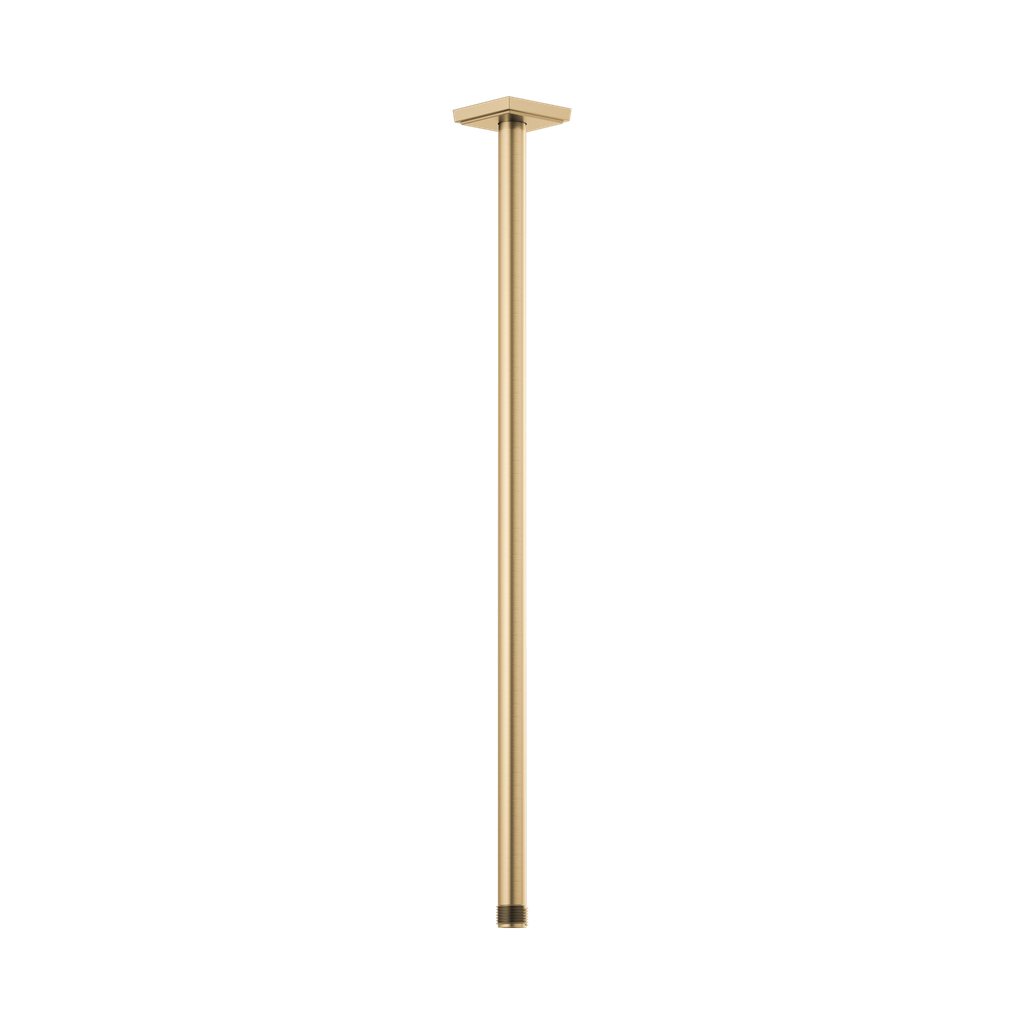 Brizo 83999-24-GL Universal Showering 24" Ceiling Mount Shower Arm & Flange