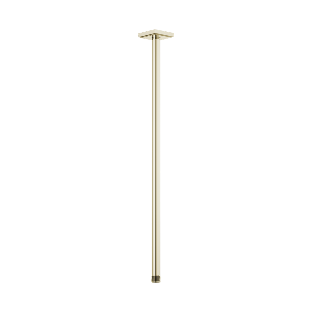 Brizo 83999-24-PN Universal Showering 24" Ceiling Mount Shower Arm & Flange